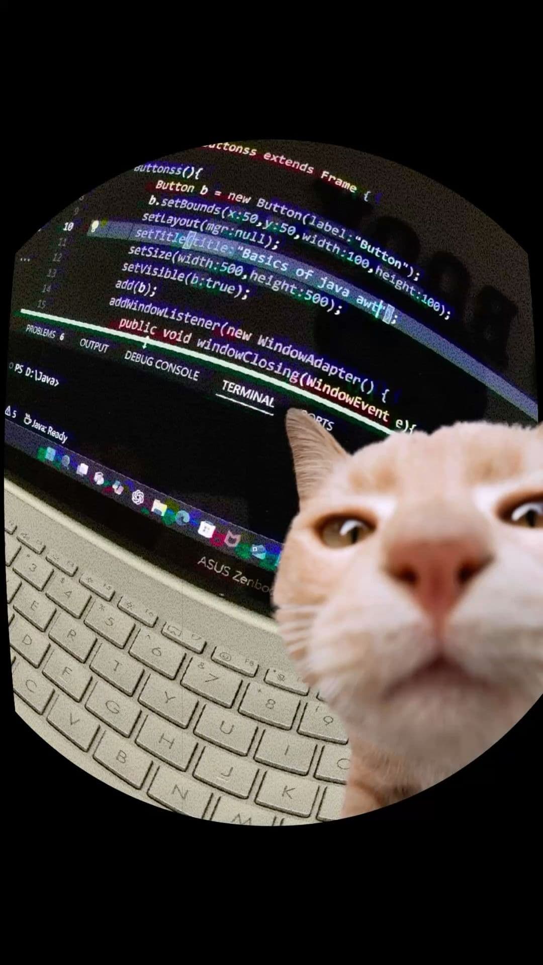React vs Vue: Mana yang Pas Buat Project Kamu Selanjutnya?